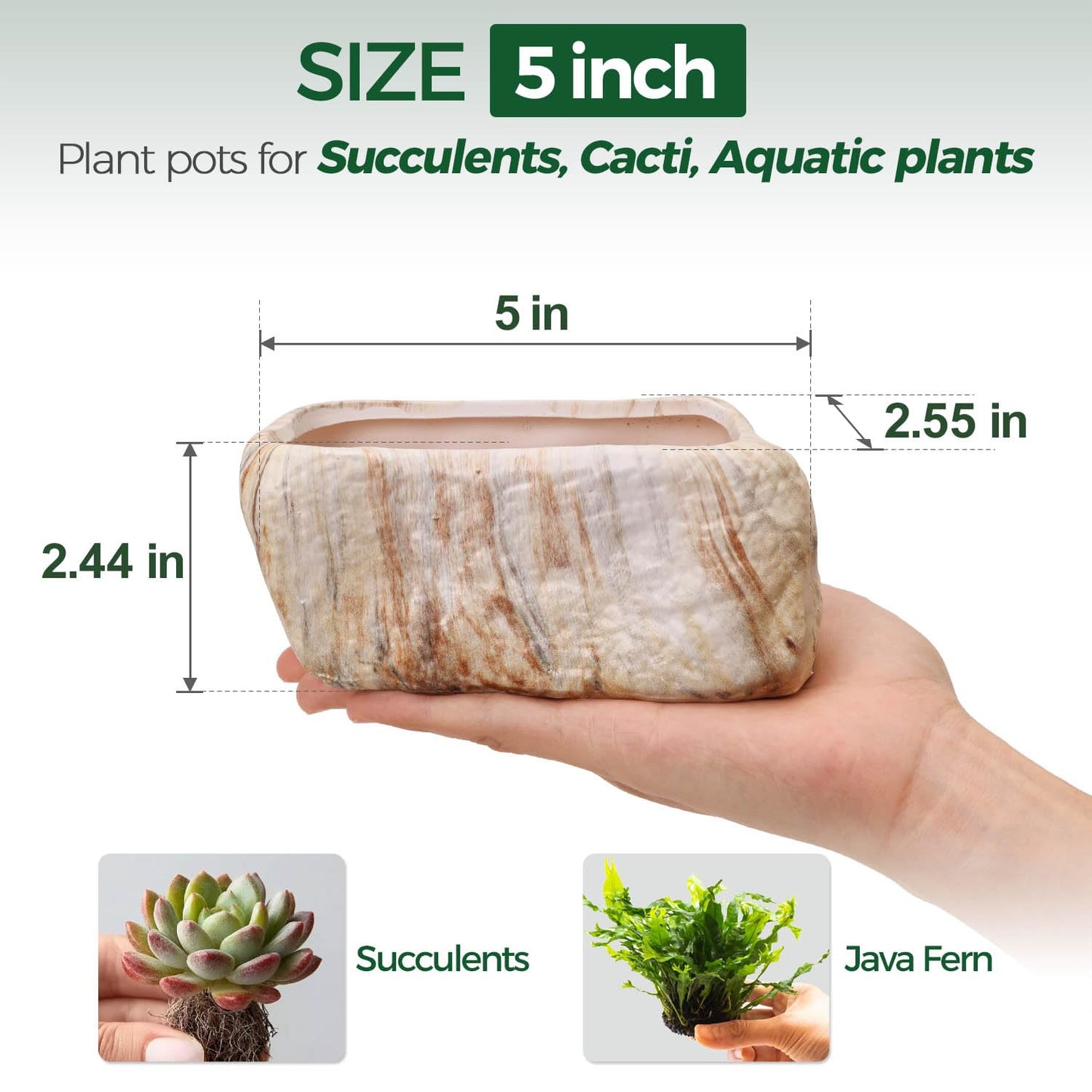 T4U 5.5 Inch Ceramic Succulent Pot Planter with Drainage Hole Set of 3, Stone Shape Rectangle Window Box Cactus Plant Containers Gift for Mom Sister Aunt Best for Home Office Table Desk Decoration