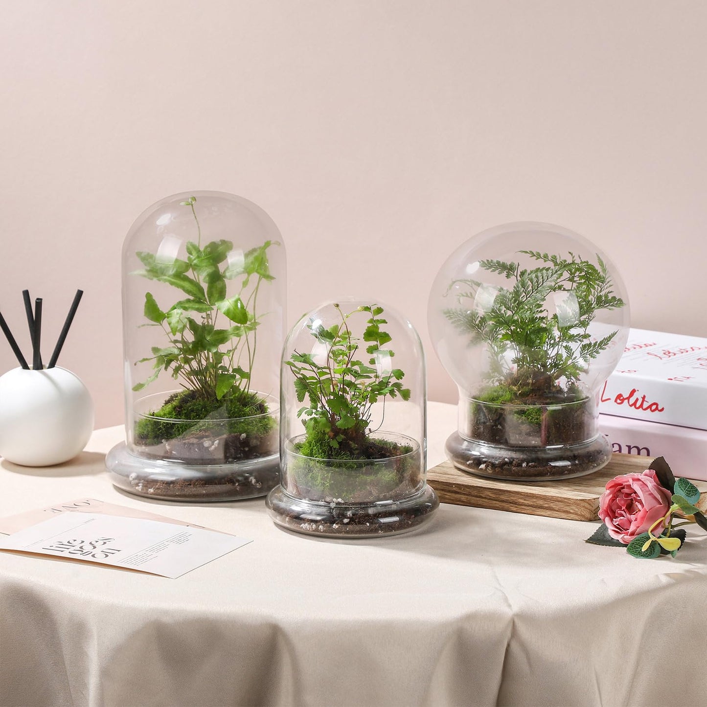 WHJY 8 inches Glass Cloche for Indoor Plants Small Terrarium Glass Cloche with Base Mini Cloche Dome with Base for Display Home Decor