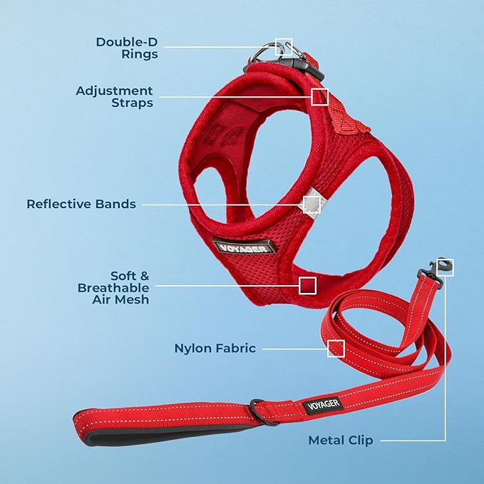 Best Pet Supplies Voyager Step-in Air All Weather Mesh Harness and Reflective Dog 5ft Leash Combo with Neoprene Handle, for Small, Medium and Large Breed Puppies - Red, X-Small