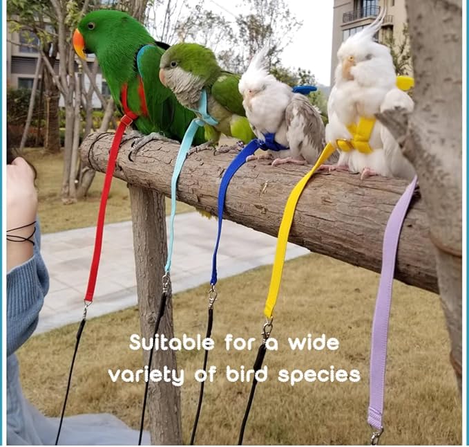 Adjustable Bird Harness with Elastic Leash, Pet Parrot Harness and Leash, Adjustable Training Design Anti-Bite, Bird Nylon Rope with Cute Wing for Conure (Yellow,Macaw)