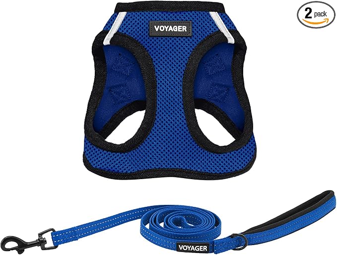 Best Pet Supplies Voyager Step-in Air All Weather Mesh Harness and Reflective Dog 5ft Leash Combo with Neoprene Handle, for Small, Medium and Large Breed Puppies - Royal Blue/Black Trim, Medium