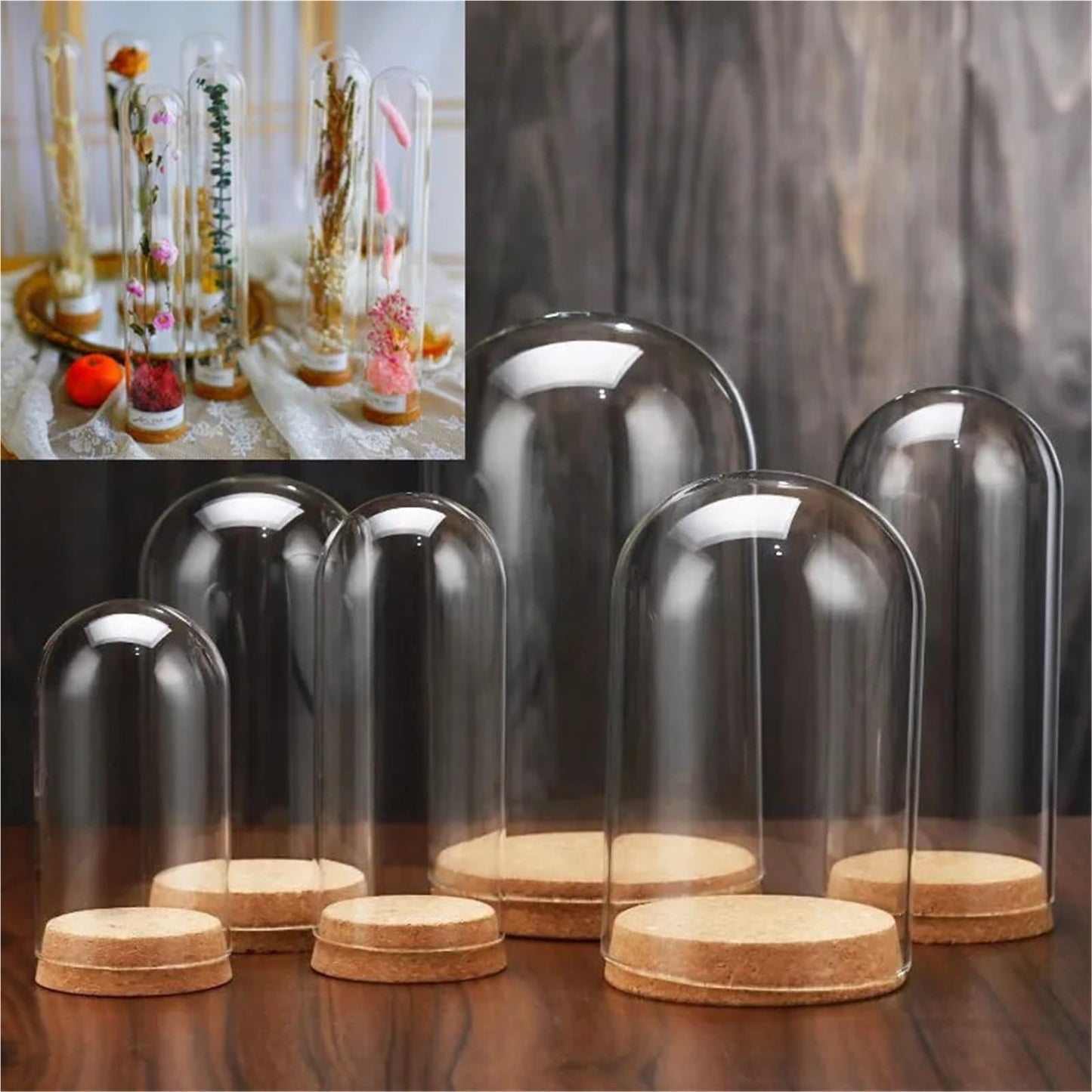 10X Da30mm Glass Bottle Terrarium Jar Cork Base Dome Dust Cover DIY Specimen Succulent Plant Micro Landscape Flower Vase Display(30x80cm)