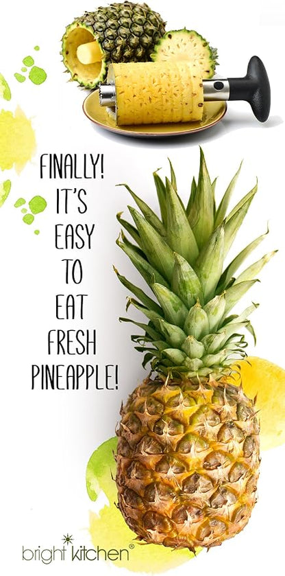 2 Pack Pineapple Slicers Corer Tools Stainless Steel Remove Peel Cut