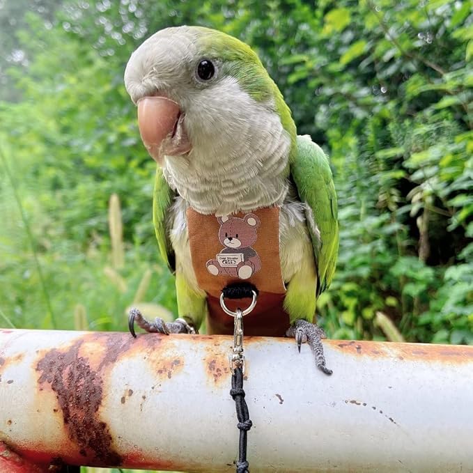 Bird Diaper Harness Flight Suit Clothes, Parrot Flight Suit with Leash for Parrot, Bird Flying Clothes with Rope and Handle for Outdoor Activities Training (Green-cheeked Conure,Without Leash)
