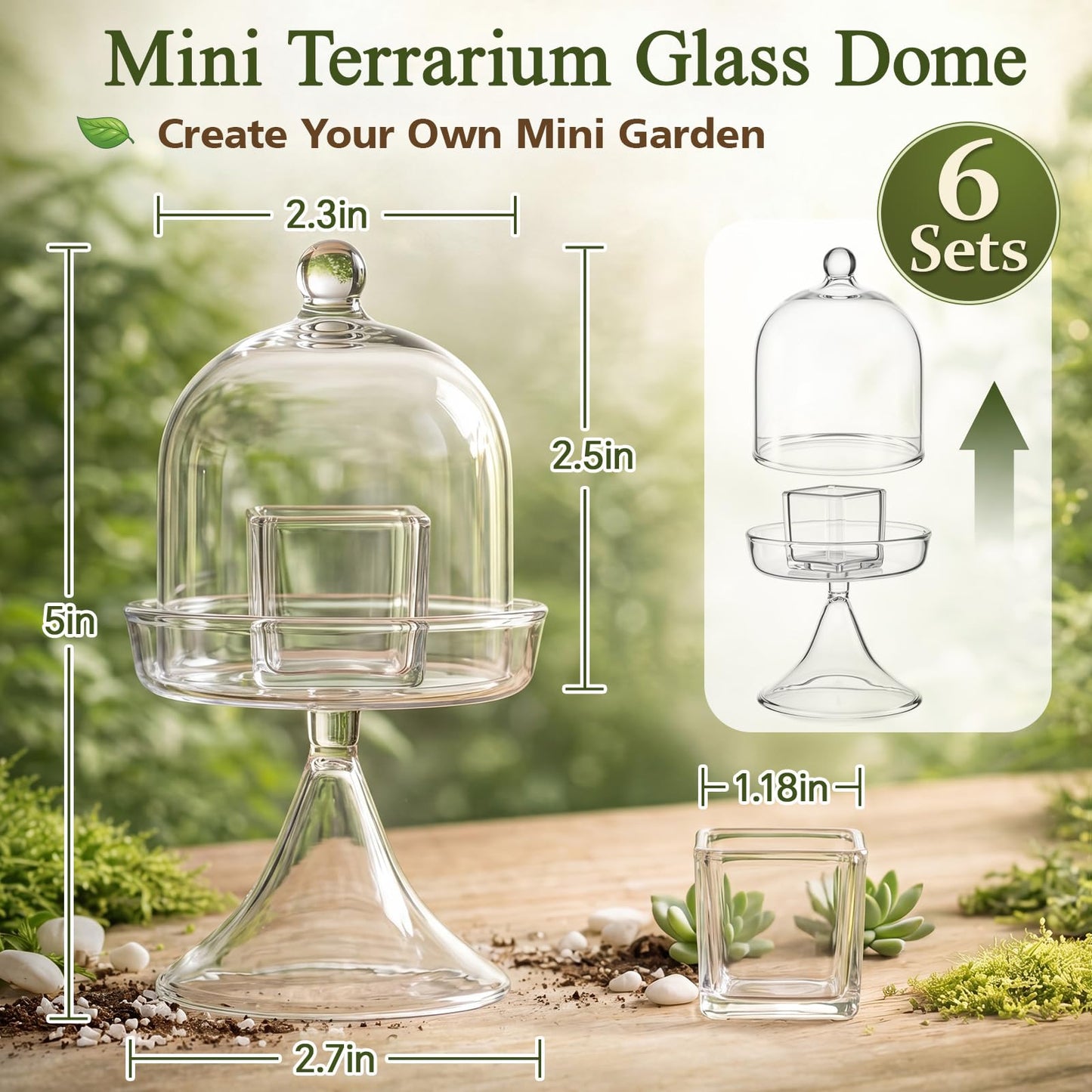 Gandeer 6 Pack Mini Glass Cloche with Base Bell Jar Dome & Acrylic Cube Planter 2.7 x 2.7 x 5'' Clear Glass Terrarium for Succulents Moss Cakes Miniature Dioramas Specimens Jewelry Rings Display