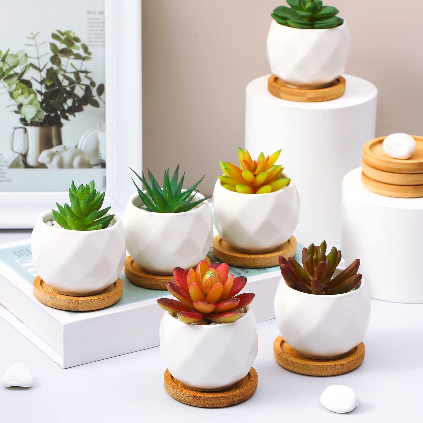 Gerrii 24 Pcs Succulent Pots Mini White Ceramic Flower Planter Pot Succulent Planters with Wooden Trays and Drainage Holes for Plants Cactus Home Office Decoration, Plants Not Included(Diamond)