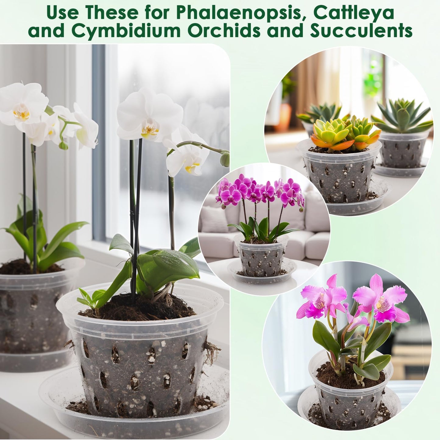 12 Orchid Pots with Holes and Saucers for Repotting, 4" 5" 5.6" 6" Clear Orchid Pot with Green Orchid Stick Clip, Breathable Slotted Plastic Orchid Planter with Drainage for Root Health Indoor Outdoor