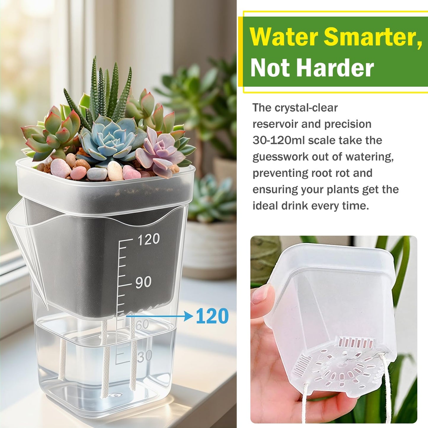 YZNlife 30 Pack 2" Small Self Watering Pots for Indoor Plants with 30 Plant Label Mini Clear Plastic Planters with Water Level and Drainage Holes for Propagation, Succulents, and African Violet
