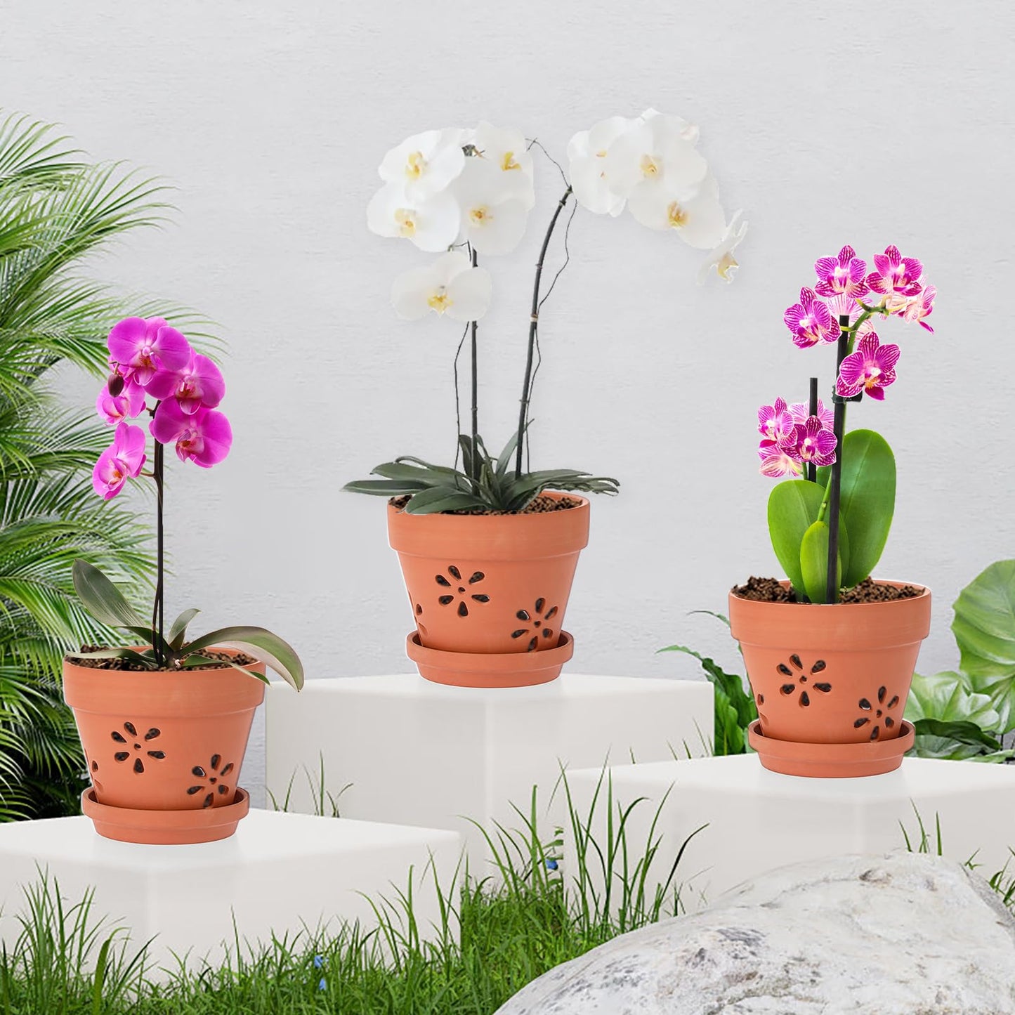 JUXYES Pack of 3 Small Terracotta Orchid Pot with Holes and Saucers, 6 Inches Clay Orchid Planter Pots for Repotting, Plant Flower Pots for Orchid Indoor and Outdoor Promotes Air Circulation