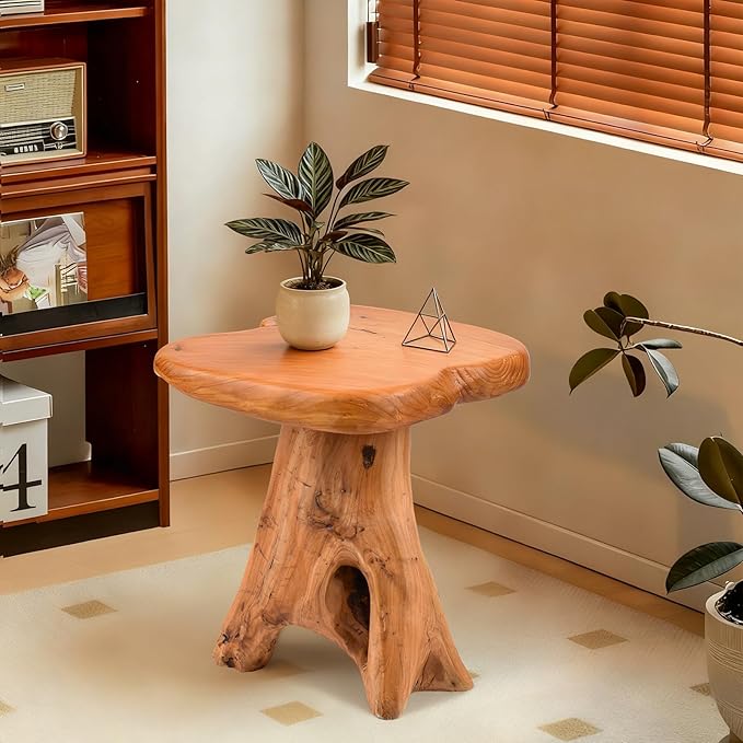 Small Side Table, Freeform Live Edge Wood Stool, Unique Design Natural Plant