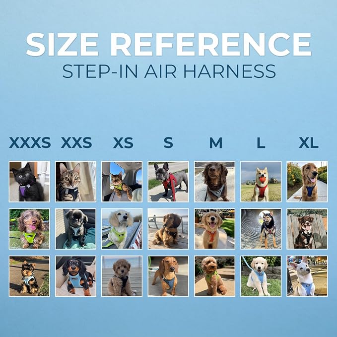 Best Pet Supplies Voyager Step-in Air All Weather Mesh Harness and Reflective Dog 5ft Leash Combo with Neoprene Handle, for Small, Medium and Large Breed Puppies - Baby Blue, X-Small