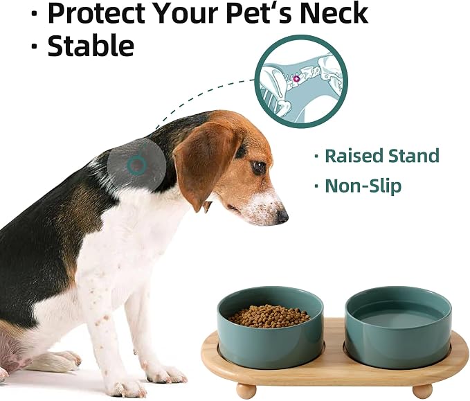 Havniva Raised Cat Bowls Water Bowl 6.1” Elevated Ceramic Cat Food and Water Bowl Whisker Friendly Pet Food Bowls for Indoor Cats, Wide Cat Water Dish Prevent Whisker Fatigue Non Slip Cat Feeder