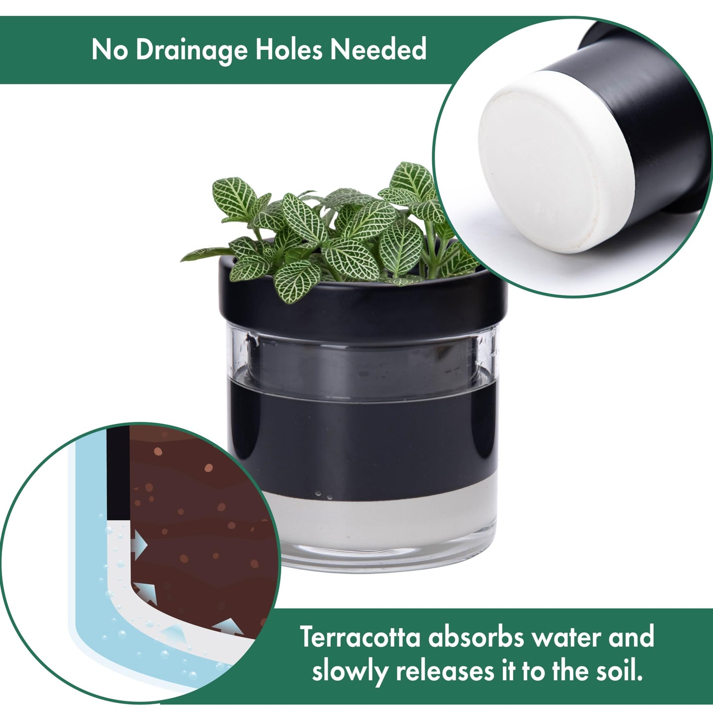 Phoenix Vine 4 Inch Self Watering Planter Pot, Black Terracotta Clay Pot with Glass Reservoir for Indoor Plants, Herbs, Flowers, Set of 3, 52-C-E-3