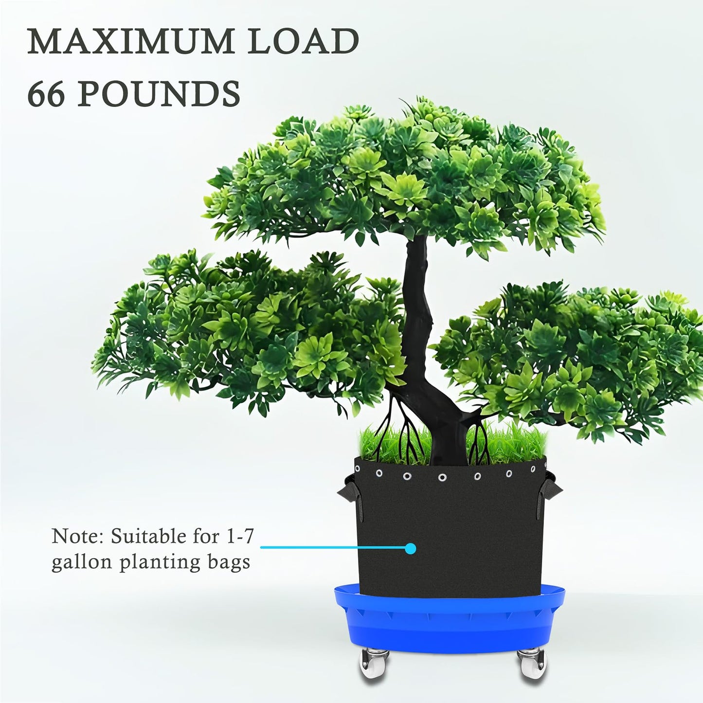 Molgoc Self-Watering Base with Visible Water Level,5-Pack,Keeps Leaves and Flying Insects Out,Maintains Water Quality, Equipped with Rollers for Easy Movement and Rotation, Blue.