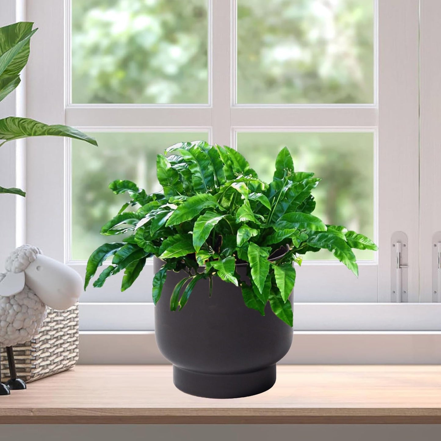 LB Black Ceramic Plant Pot for Indoor Plants, Succulent Planters Ceramic Plant Pots, Modern Flower Pots for Living Room Office Home Decor, Round Flower Pot of 4.3 Inch(Plant Not Included)