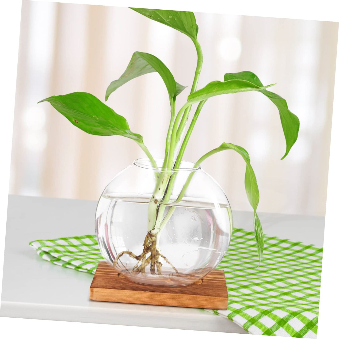ABOOFAN Hydroponic Plant Vase with Base Glass Propagation Bottle for Desktop Decoration Transparent Terrarium Planter for Home Office Wedding Modern Tabletop Adornment