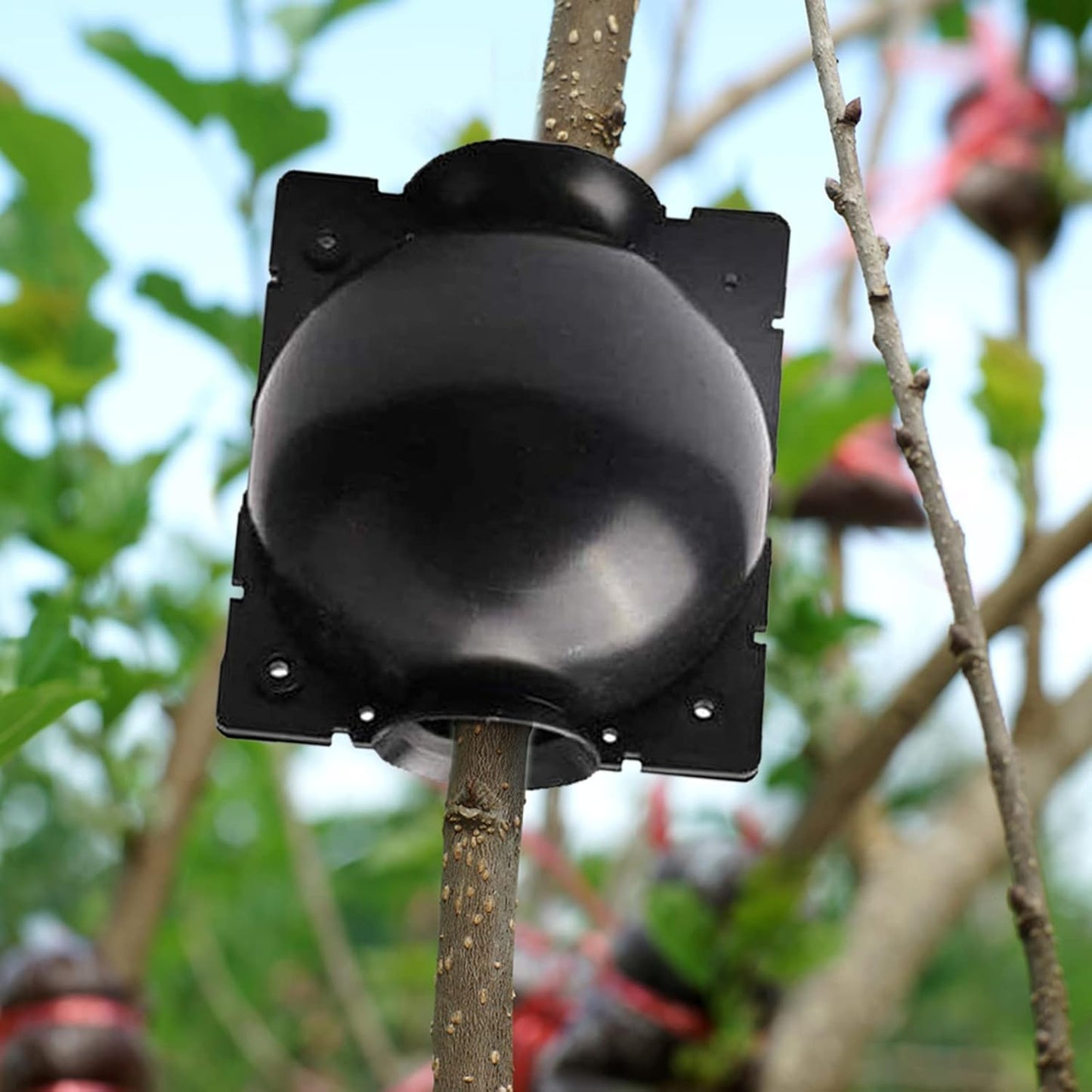 20 PCS Propagation Stations Air Layering Pods, Reusable Rapid Root Plugs Air Layering Propagation Kit Grafting Tool Take Root Box Plant Propagation Ball Tree Grafting Supplies Plant Root Growing Box