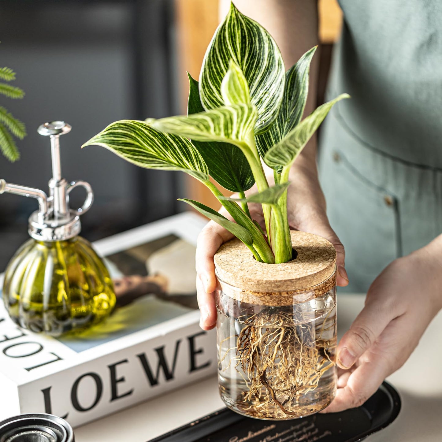 CHPINDAM Glass Propagation Stations for Plants -Desktop Flower Vases,Propagation Flower Vases Set – 2 Large & 2 Small for Plant Cuttings，for Living Room, Bedroom Decoration,Home,Office Decor (8)