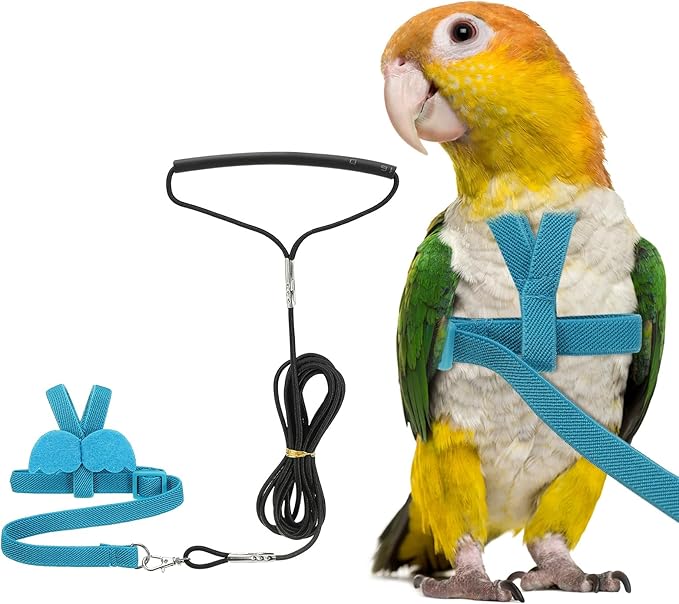 Bird Harness Leash, Adjustable Pet Parrot Bird Harness and Leash Lightweight Anti-Bite Flight Training Rope with Cute Wing, (Blue, XS), Intended for Parrots/Pigeons/Budgies