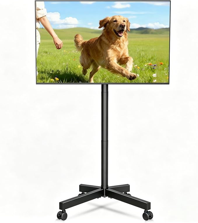 XINLEI Mobile TV Stand on Wheels