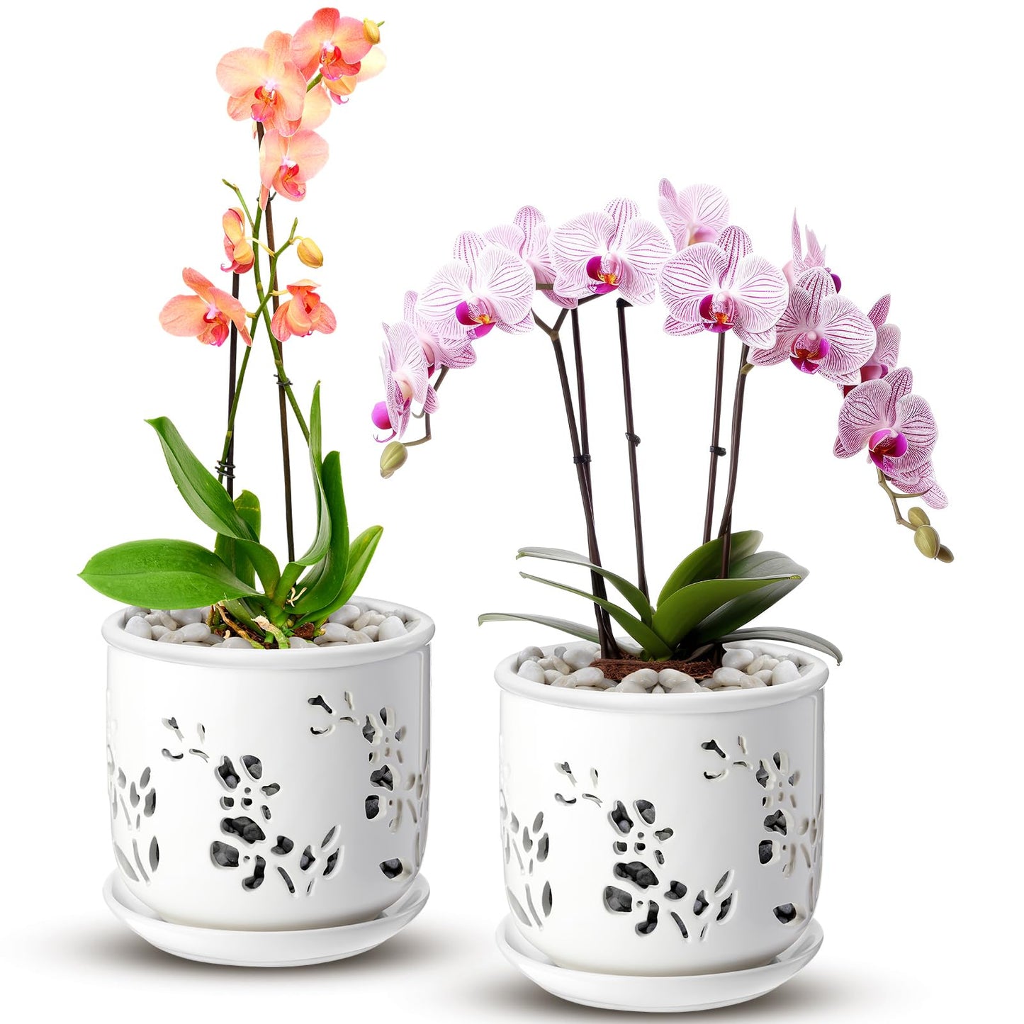 FoldTier 2 Pack 6.5 Inch Large Orchid Pot with Holes and Saucer for Root Health with Precise Aeration and Drainage, Ceramic Orchid Planter Pot for Repotting or New Plants Indoor Outdoor Use(White)