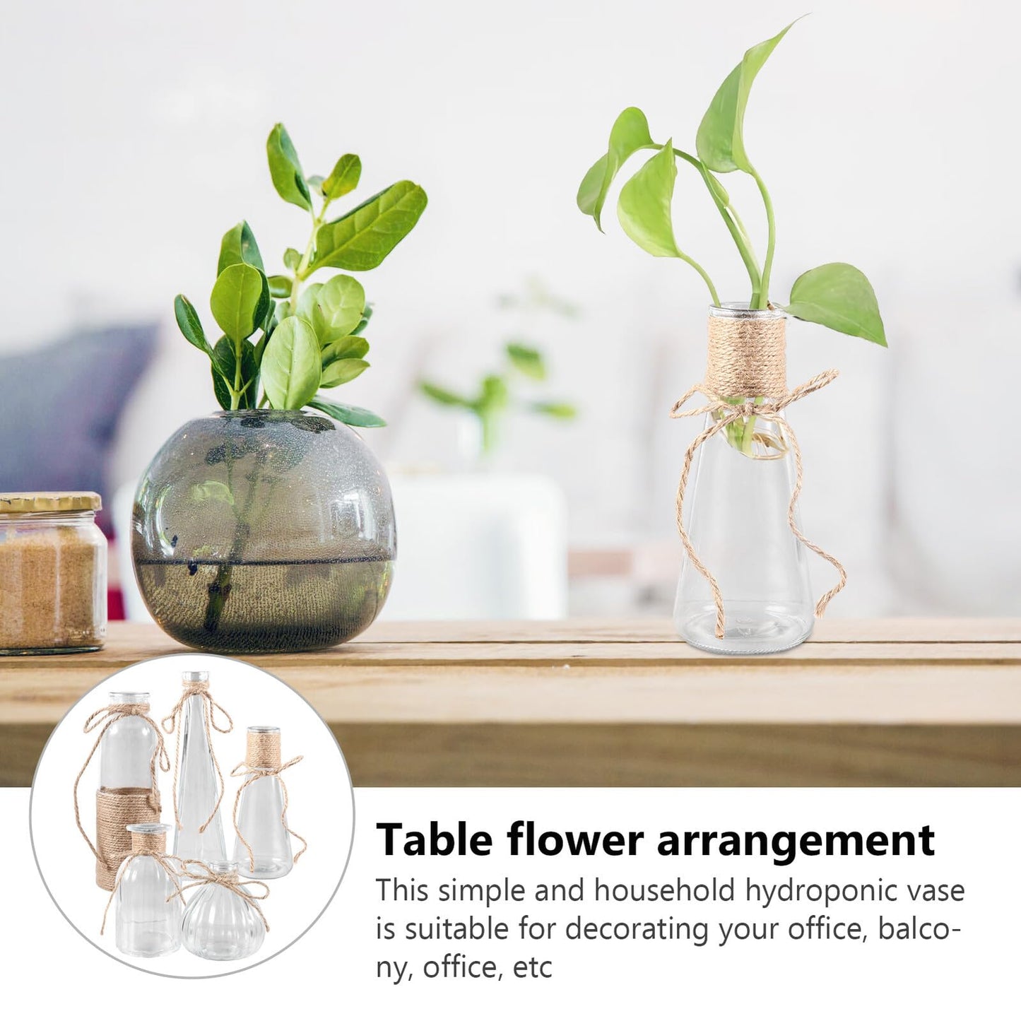 BESPORTBLE 5pcs Glass Flower Vase Set with Jute Rope, Plant Arrangement Container, Decorative Plant Terrarium, Shapes for Home Décor and Floral Display