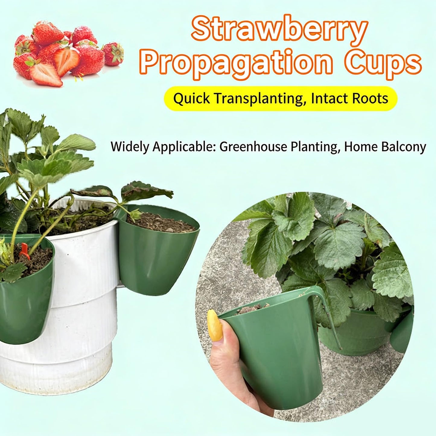 Tsophreniq Strawberry Propagation Cups, Breathable Strawberry Propagation Cup with Forks and Aeration Holes, Breathable Nursery Pots for Home Garden