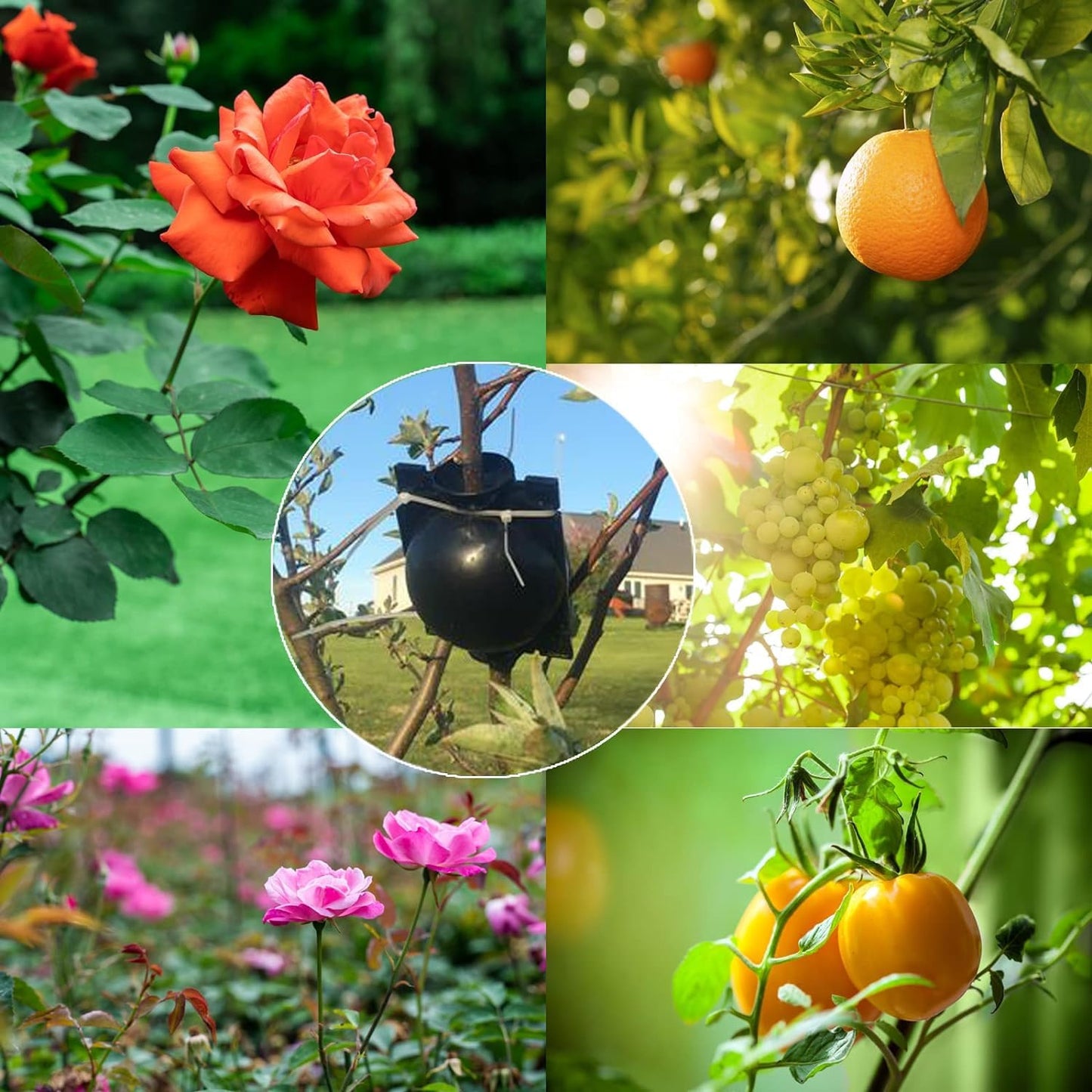 20 PCS Propagation Stations Air Layering Pods, Reusable Rapid Root Plugs Air Layering Propagation Kit Grafting Tool Take Root Box Plant Propagation Ball Tree Grafting Supplies Plant Root Growing Box