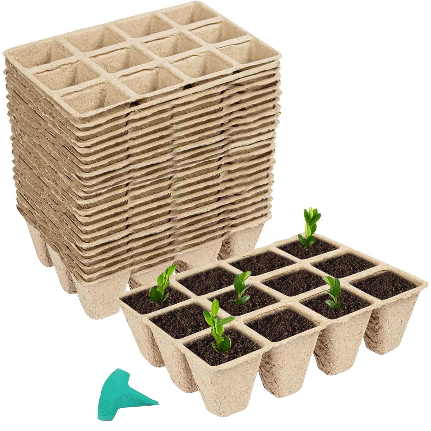 GROWNEER 288 Cells Peat Pots Seed Starter Trays 24 Packs Biodegradable Seedling Pots Germination Trays Organic Plant Starter Kit with 15 Pcs Plant Labels