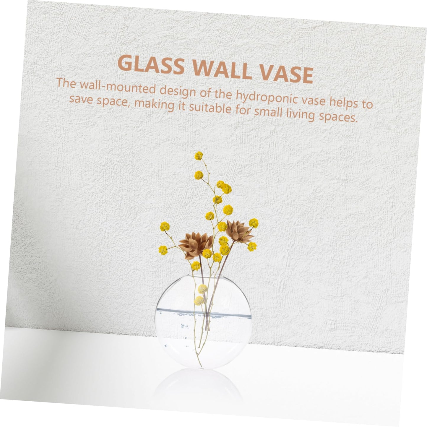 Ciieeo 2pcs Wall-Mounted Boho Decor Hydroponic Glass Vase Hanging Plant Terrariums for Home Office