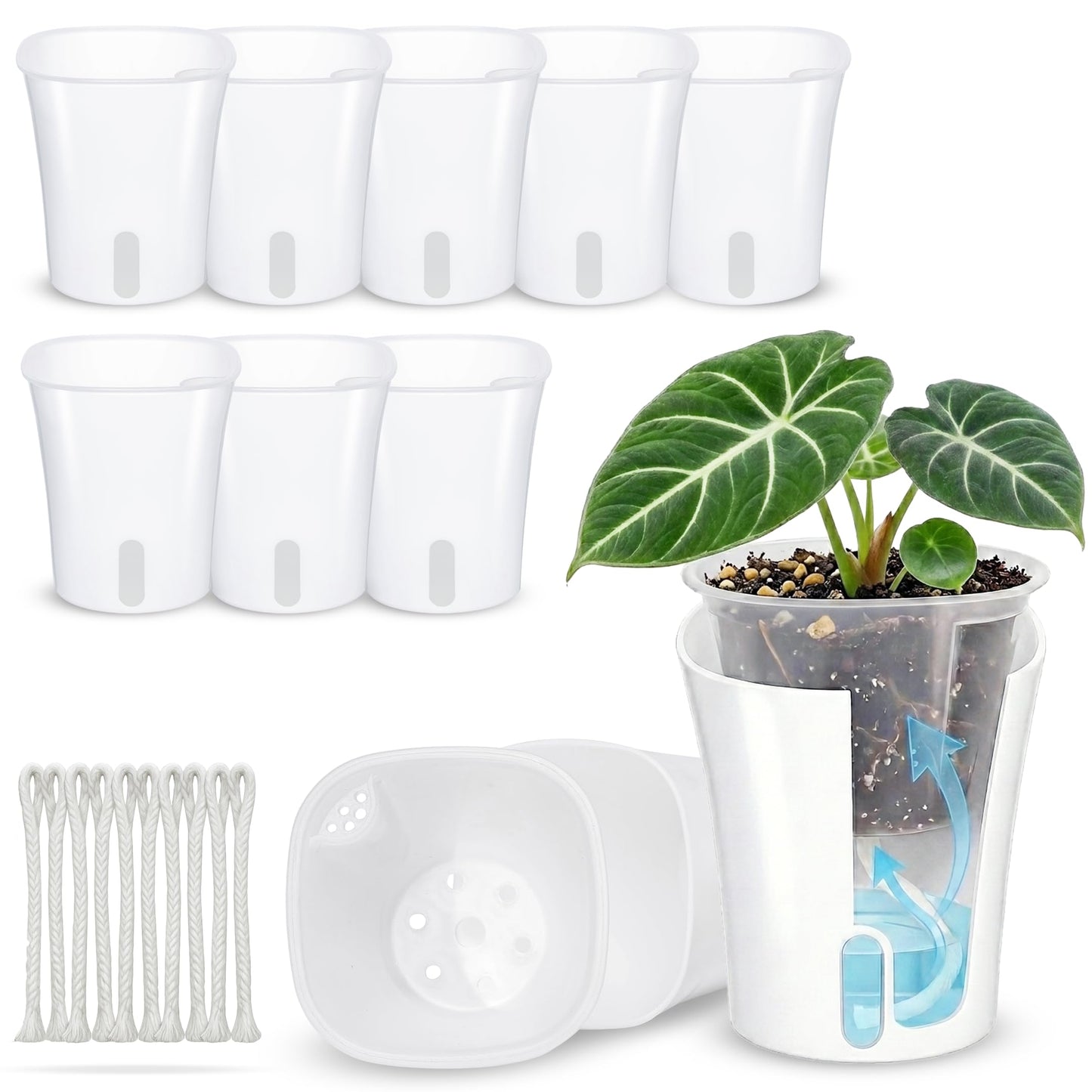 FYRIXONE 10 Pack 4" Self Watering Small White Plant Pots for Indoor Plants, Clear Inner Cup, Water Level Indicator, Drainage Holes & Wick, for Cuttings, Seedlings, Herb, African Violet, Hoya, Begonia