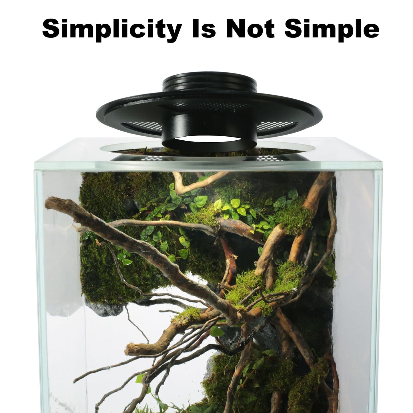 Desktop Glass Plant Terrarium with Grow Light(L7.8 W7.8 H14), for Succulent, Moss, Miniature Gardening Landscape, Betta Fish Tank, Indoor Plant Growth, Office Home Decoration (TimeControlled)