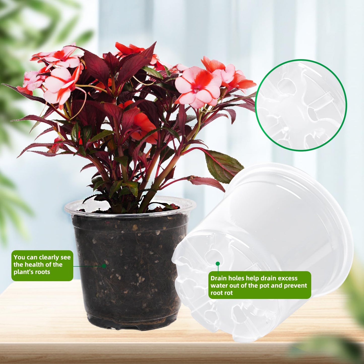 Oubest 50Pcs Clear Nursery Plastic Pots for Plants Orchid Potting 5 Inch Seedling with Drainage Holes Indoor Outdoor Flower Seedlings Succulent Vegetable Herb