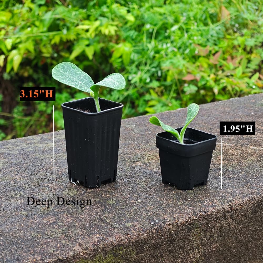 BangQiao 60 Pack 1.95 Inch Tiny Black Plastic Square Nursery and Seedling Pot, Mini Deep Transplant Seed Starter Planter with Drain Hole for Germination, Herb, Succulent