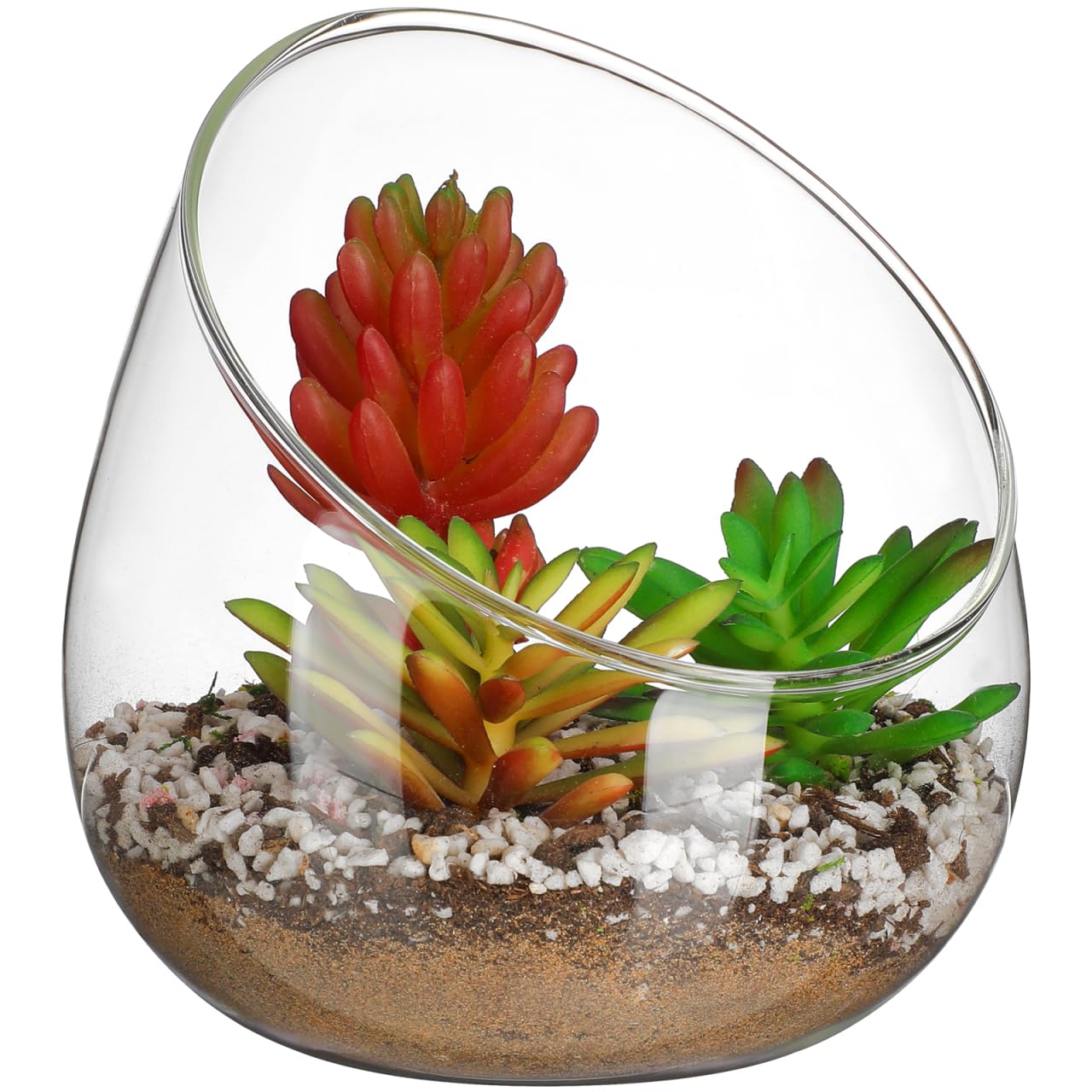 DOITOOL Clear Slant Cut Bowl Glass Vase, Glass Terrarium Candy Dish Fish Bowl Vase Fruit Jar Air Plant Holder for Succulents, Cacti, Moss, Terrariums, Flower Centerpiece, Height: 4.7", Base: 4"