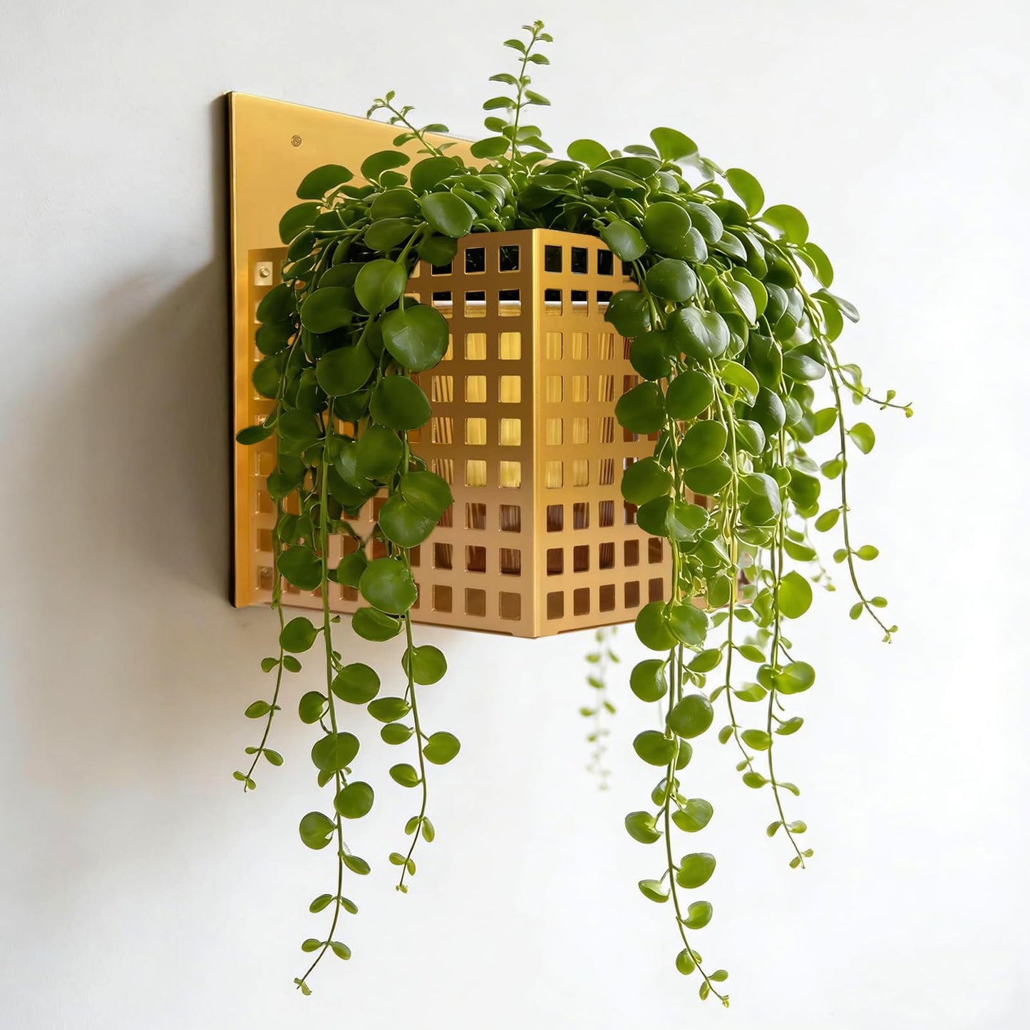 Gukoee Wall Planters for Indoor Plants, Wall Plant Holder Self-Watering Wall Vase for Live or Faux Plants,Indoor/Outdoor Modern Gold Plant Hangers Indoor, Spirit Level Included