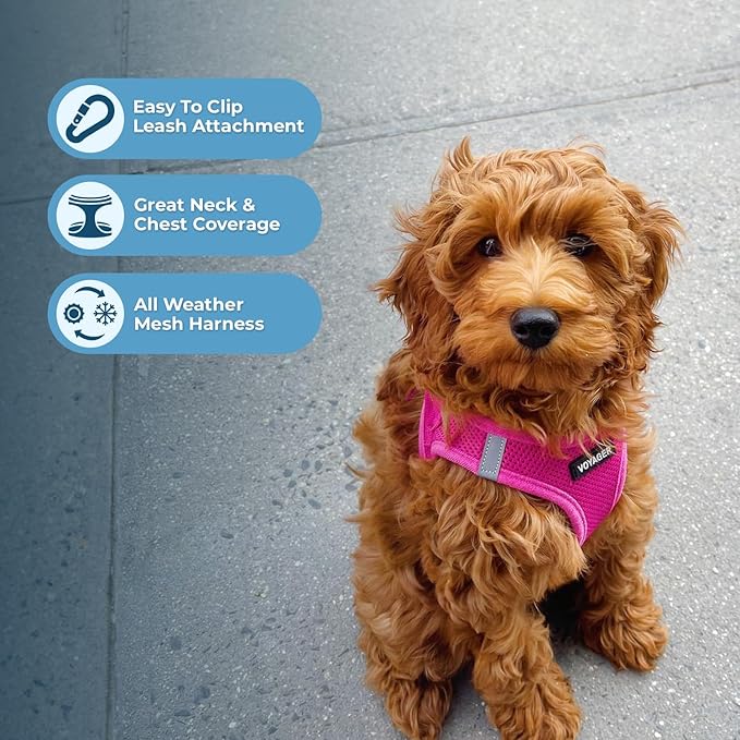 Best Pet Supplies Voyager Step-in Air All Weather Mesh Harness and Reflective Dog 5ft Leash Combo with Neoprene Handle, for Small, Medium and Large Breed Puppies - Fuchsia, Small