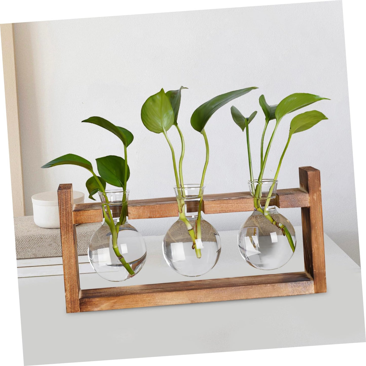 Abaodam Terrarium Plants Glass Planter Air Plant Terrarium Glass Vases for Centerpieces Bulb Vase