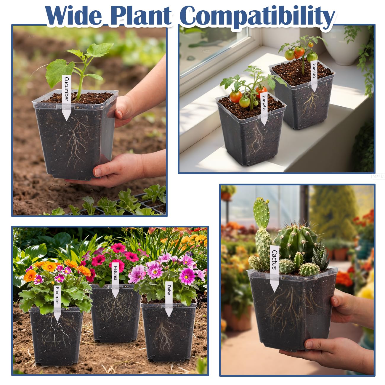 RooTrimmer 5.5 Inch Clear Square Nursery Pots with Drainage & Labels, 30Pcs Reusable Seed Starter Pots for Vegetables, Indoor Outdoor Gardening, Thick Transparent Plastic Plant Pots for Seed Starting