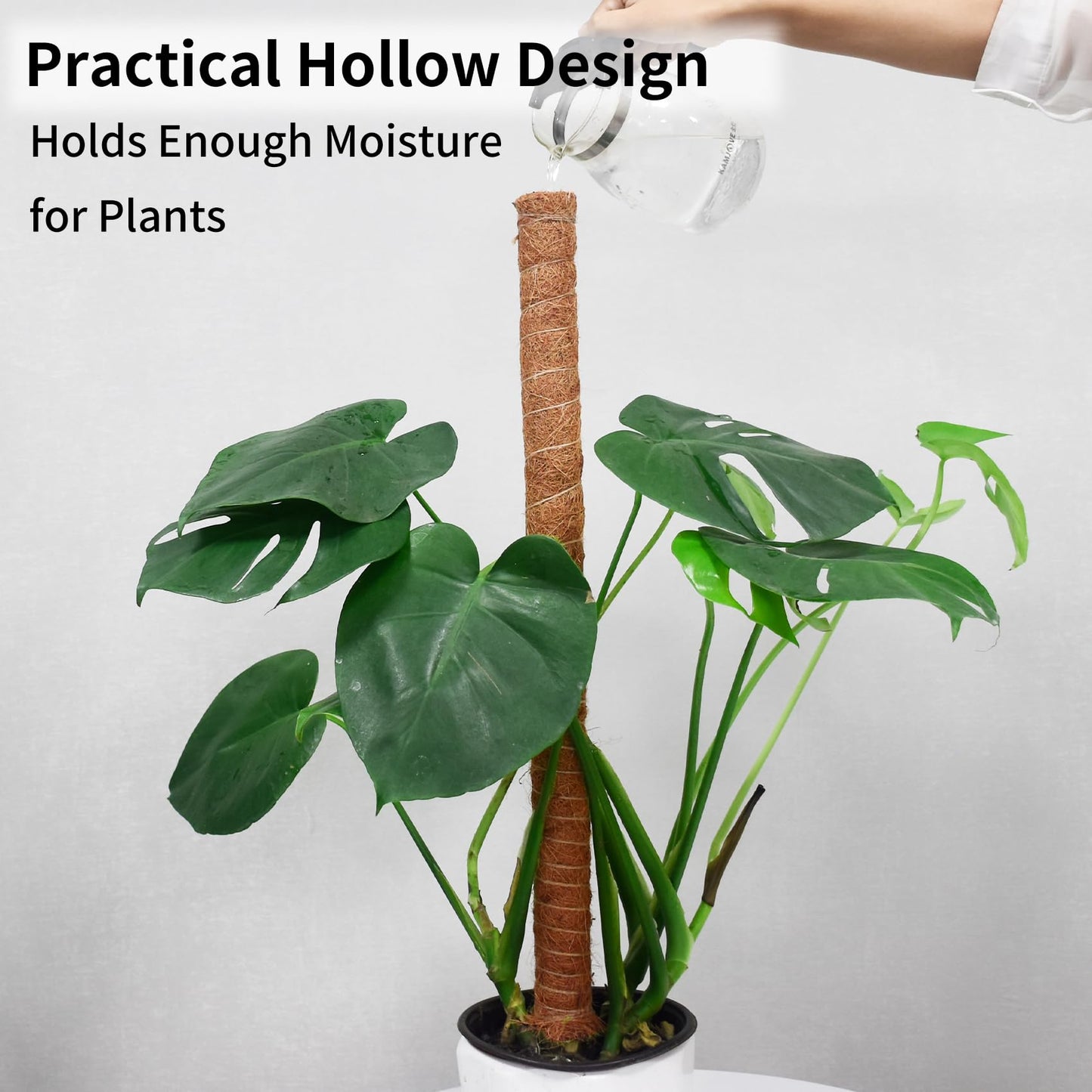 JJGoo Moss Pole for Plants Monstera,【6 Pack】 17 inch Plant Support Pole, Extendable Coir Totem Pole for Potted Plants Pothos, Train Indoor Climbing Plants to Grow Upwards