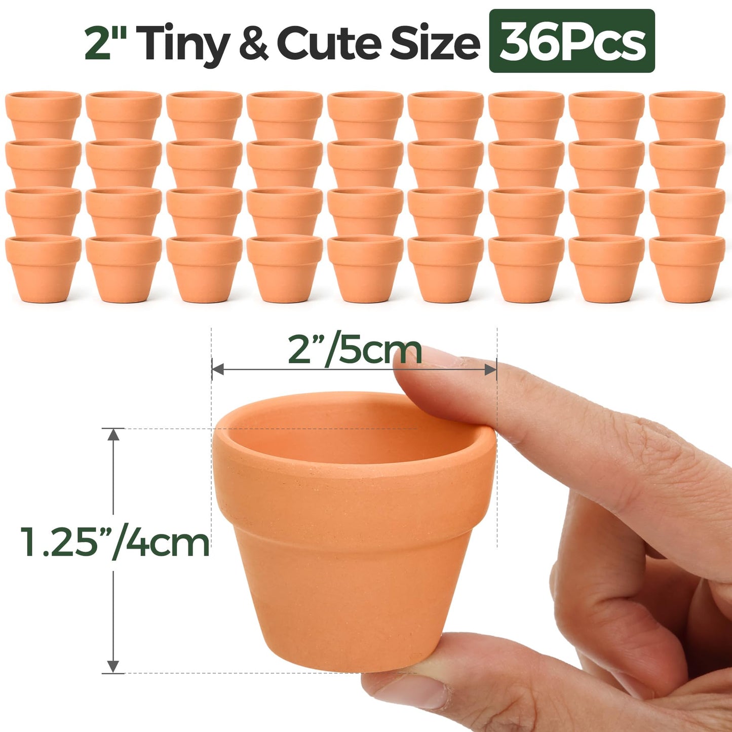 T4U Mini Terracotta Pots (36pcs): 2 Inch Small Clay Pots with Drainage Holes, Ideal for Succulent Cactus Plants, DIY Crafts, Home Decor