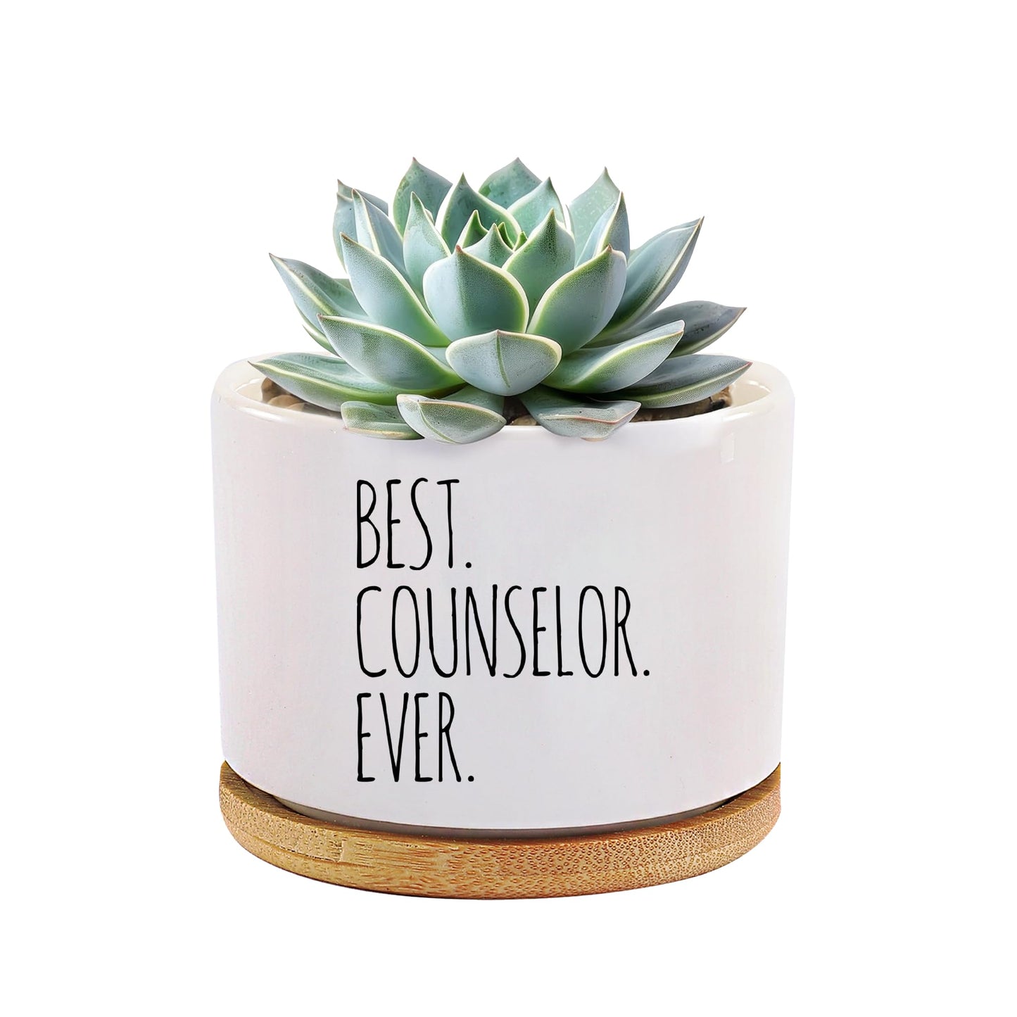 Best Counselor Ever Counselor Gifts Ceramic Succulent Plant Pot with Bamboo Tray Round Mental Health Therapist School Counselor Psychologist Home Office Decor Plant Lover 3.5 Inch White (No Plants)