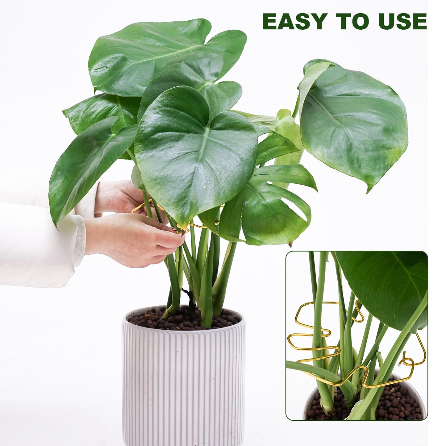 6PCS Monstera Plant Stem Support , Monstera Stabilizer Grapple Holder Unique Design for Turtle Shell Bamboo Clamp Set, Ideal Plant Support Stakes for Thriving Growth Indoor Climbing Plant (Gold)
