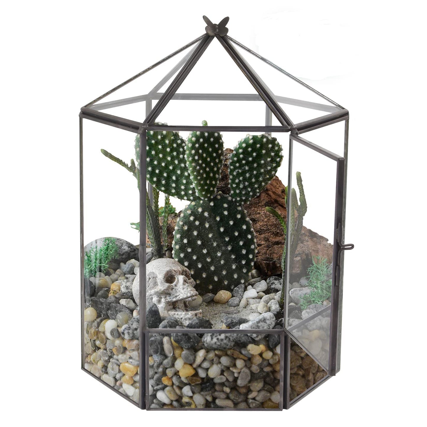 ELEGANTLIFE Glass Geometric Plant Terrarium,Succulent & Air Planter for Home Garden Office Decoration,No Plants(Black Hexagonal)