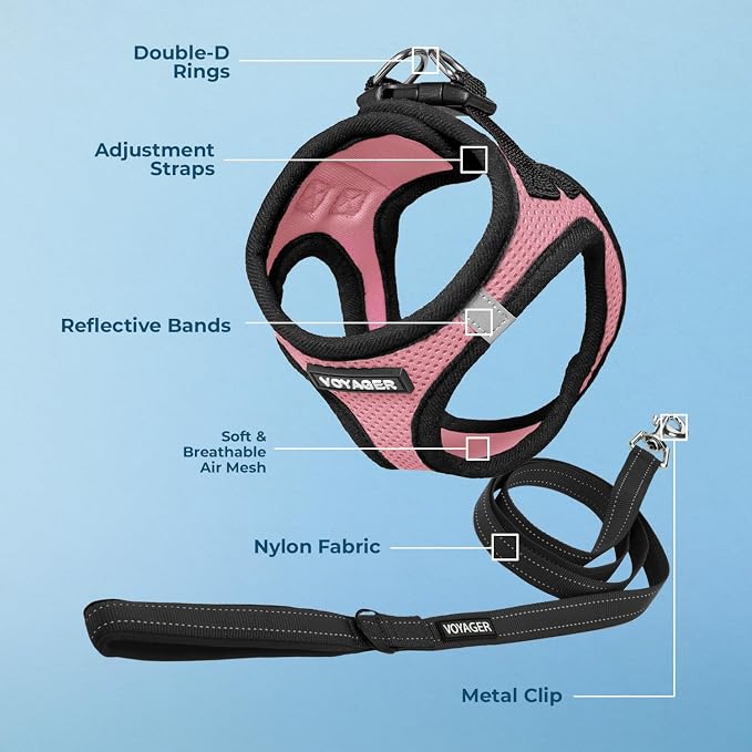 Best Pet Supplies Voyager Step-in Air All Weather Mesh Harness and Reflective Dog 5ft Leash Combo with Neoprene Handle, for Small, Medium and Large Breed Puppies - Pink Base, Large