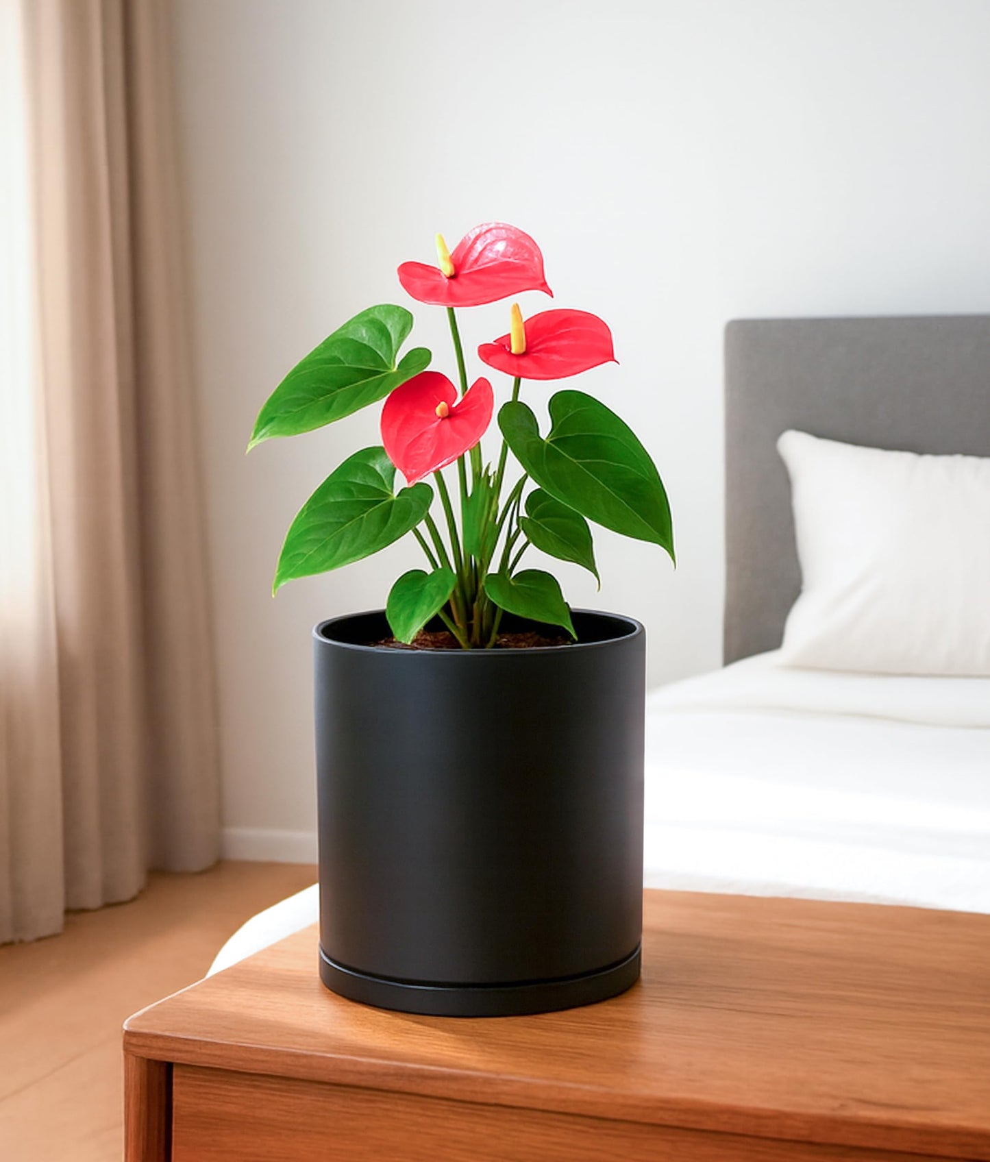 D'vine Dev Double-Layer Self-Draining Planter Set – Rotating Plastic Outer Pot with Clear Inner Liner for Root Health, Perfect for Indoor Plants, 6.5", Set of 2, Black, 73-V-B-2