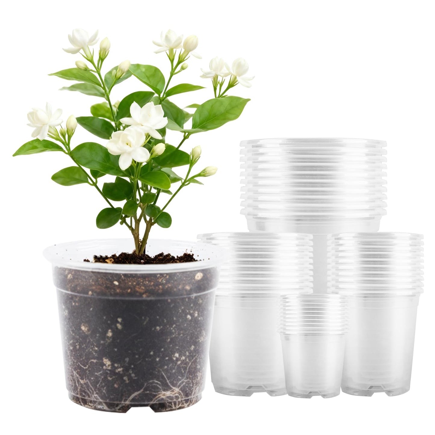 40 Pcs Seed Starter Pots Kit 2.5/3.5/4/5 Inch Clear Nursery Pots for Plants for Seedlings,Succulents,Plastic Nursery Pots with Drainage Holes (10 of Each Size),Garden Pot for Outdoor Indoor (Size A)