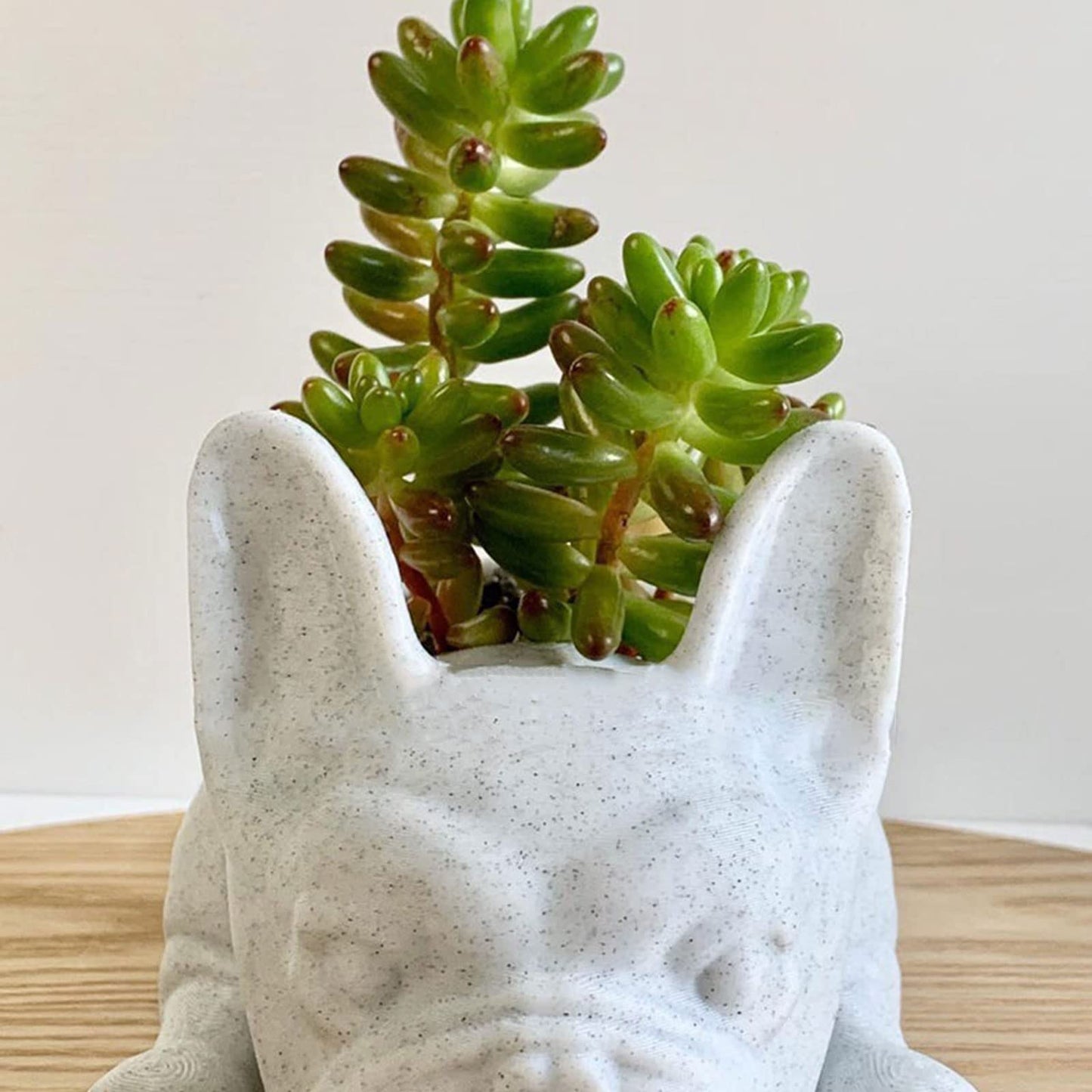 UIYIHIF Resin Dog Succulent Planter Mini Puppy Air Plant Planter,French Bulldog Shape Cute Bonsai Flower Pots for Home Garden Office Desktop Decor (No Plants), White