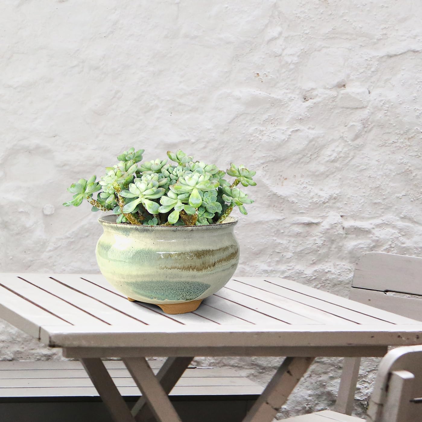 Summer Impressions 8 Inch Succulent Pot with Drainage and Saucer Glazed Terracotta Round Ceramic Succulent Planter Cactus Bonsai Plant Pot (Gream)