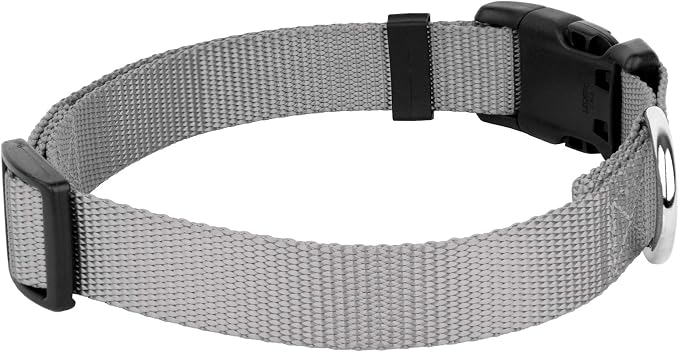 Country Brook Petz - Everyday Nylon Dog Collar and Leash - 10+ Cool Colors (1 Inch, Extra Large, Silver)